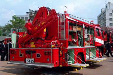 ���{���q�Q